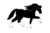 horse9.gif